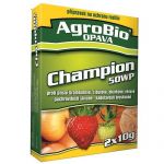 champion-50-wg-2x10g.jpg