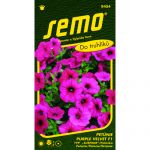 petunie-typ-surfinie-purple-velvet-f1.jpg