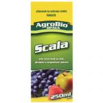 scala-250ml.jpg