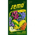 statice-sinuata(limonka)-smes.jpg