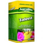 talent-10ml.jpg